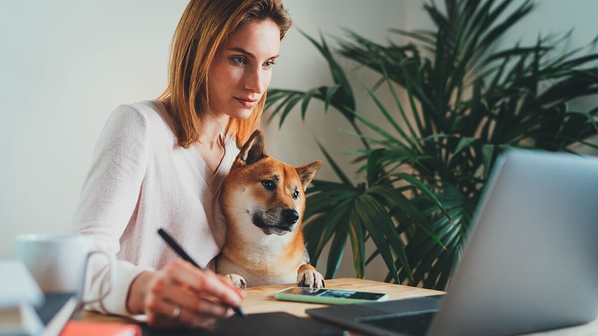 Woman with dog in her lap reviewing withholding allowances on laptop.