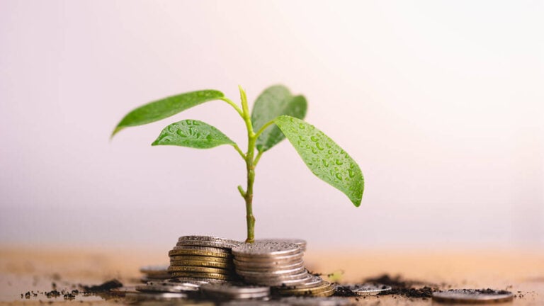 Plant growing out of coins.