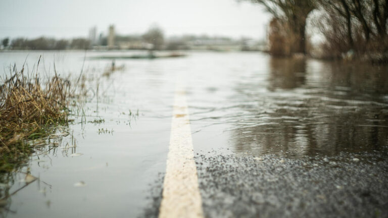 Flooded road.