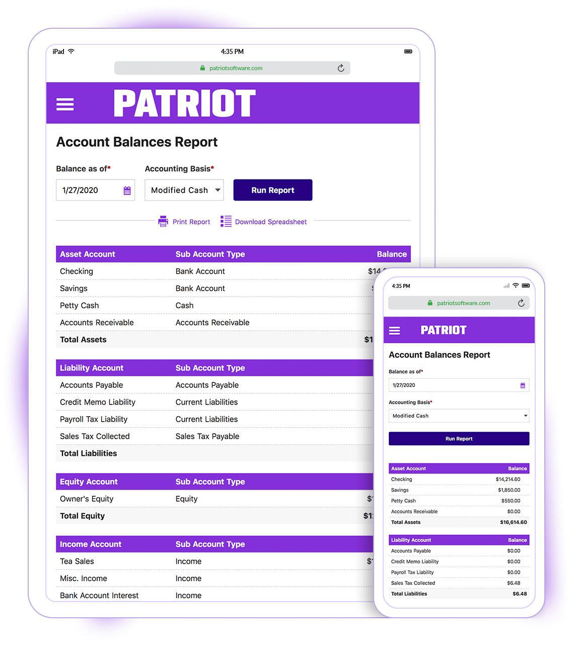 Account Balances Report