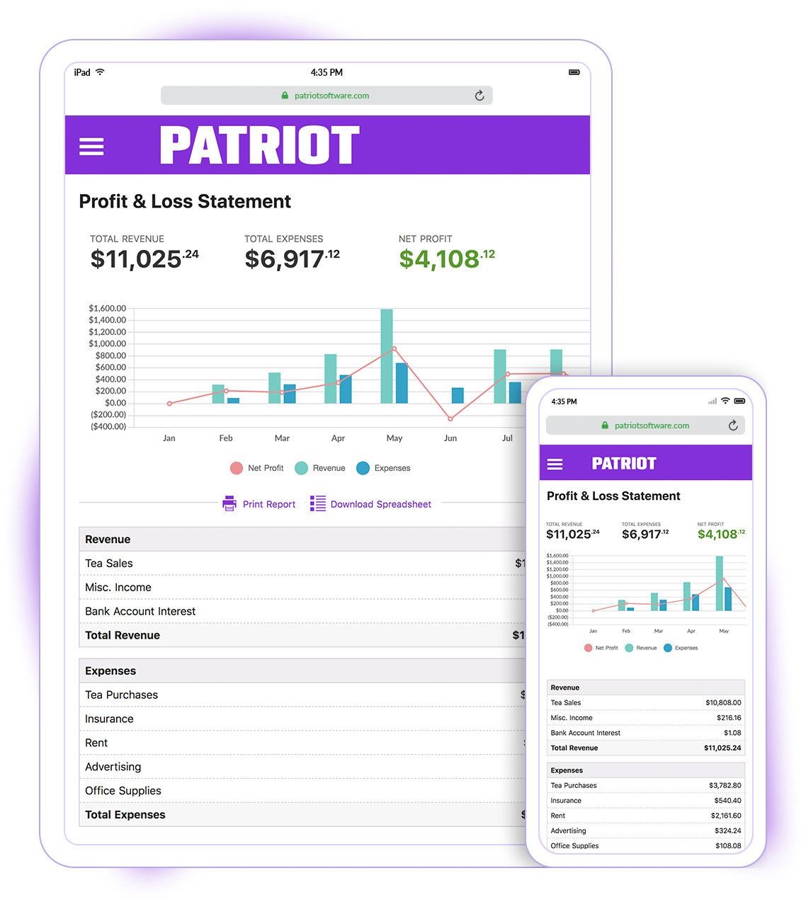 Profit & Loss Statement Report