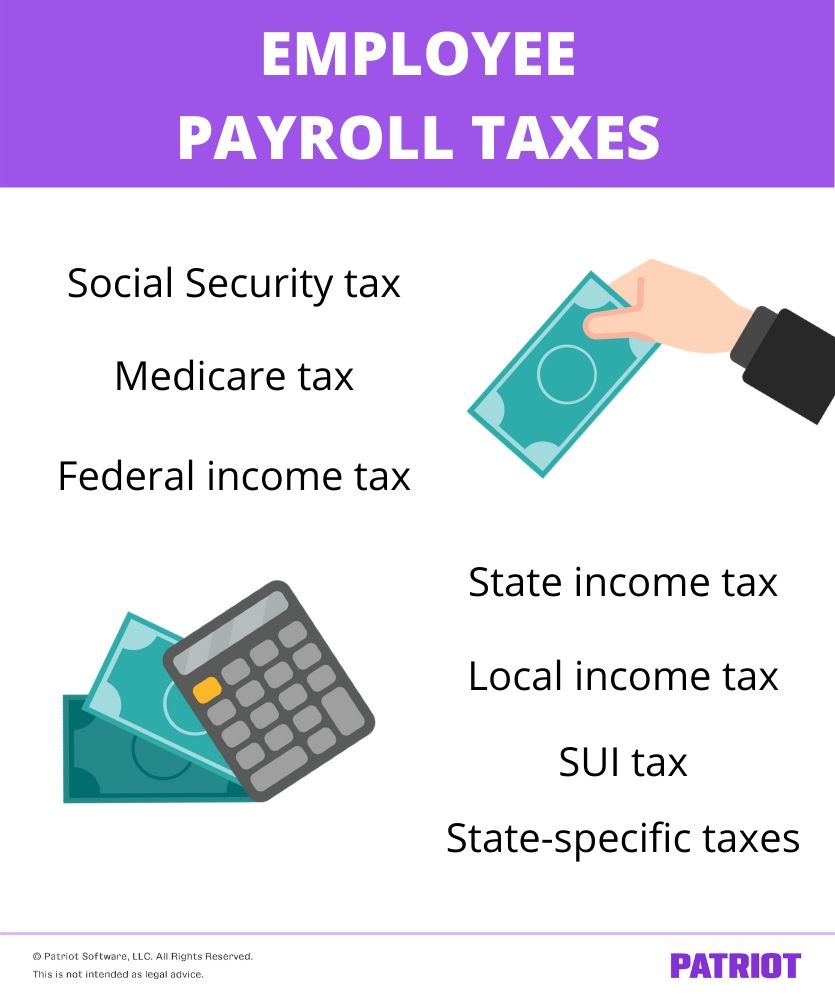 which payroll taxes are the employee's responsibility
