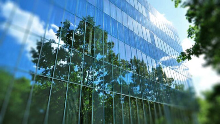 Side of a building with the reflection of a tree.