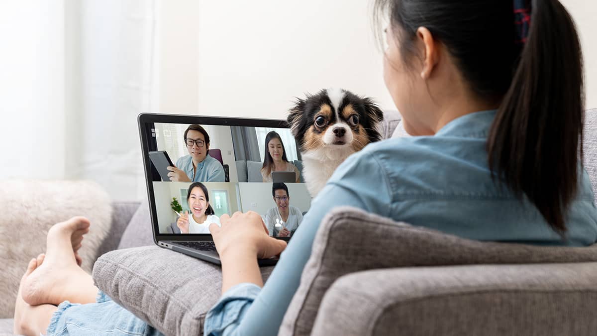 businesswoman working from home on her couch on a video call