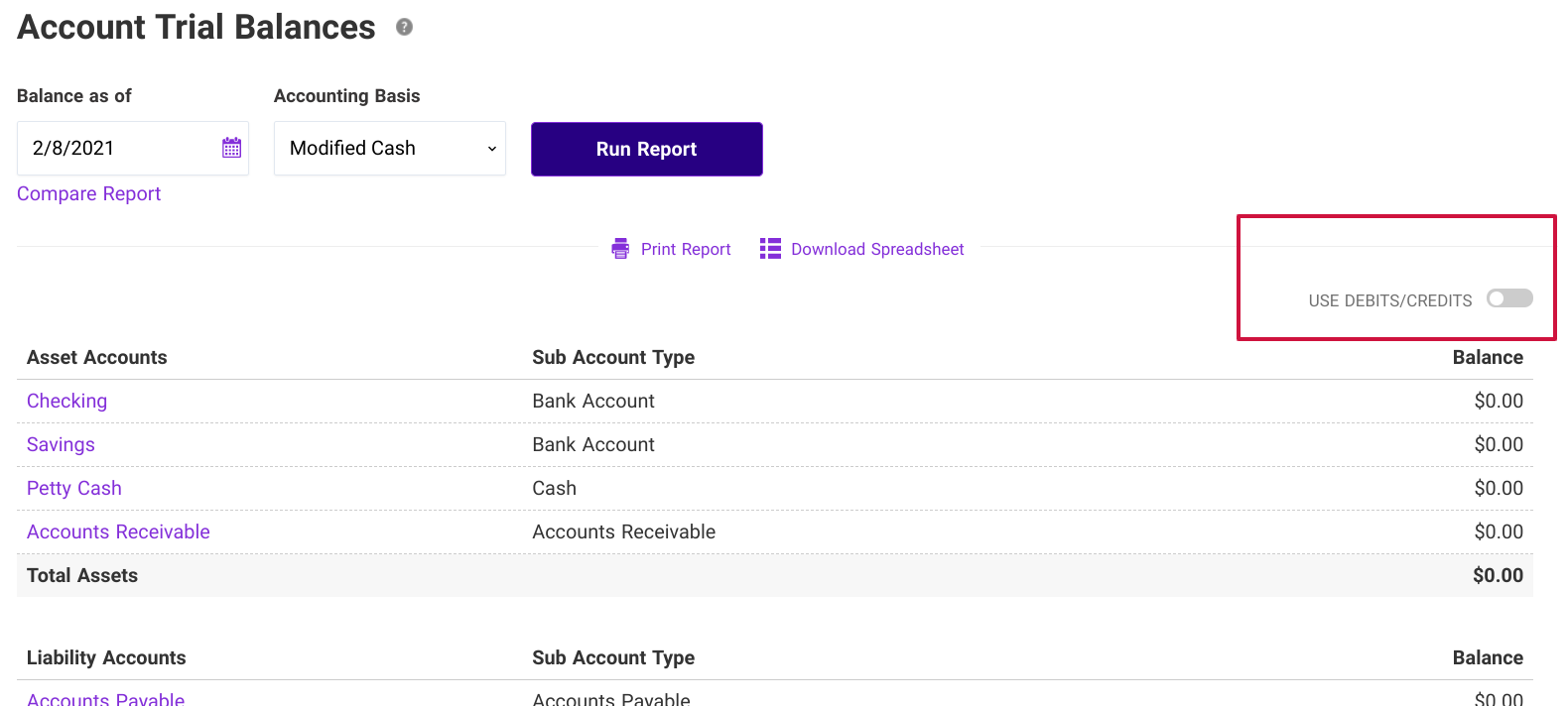 Account trial balances page highlighting the debits/credits toggle