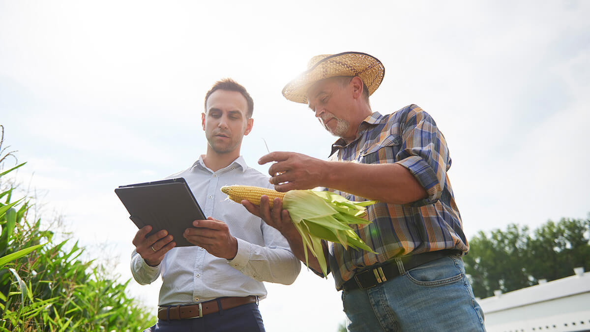 A farmer and an employee working on agricultural accounting.