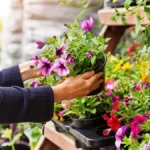 Seasonal business owner arranging flowers