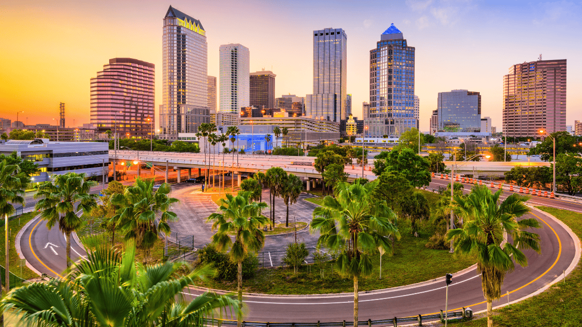 buildings and palm trees in Florida