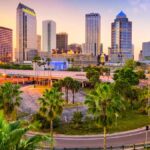 buildings and palm trees in Florida