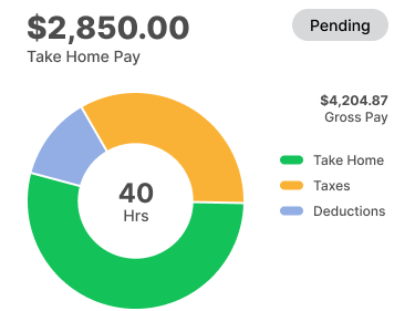 Pay report graphic in Patriot Software.
