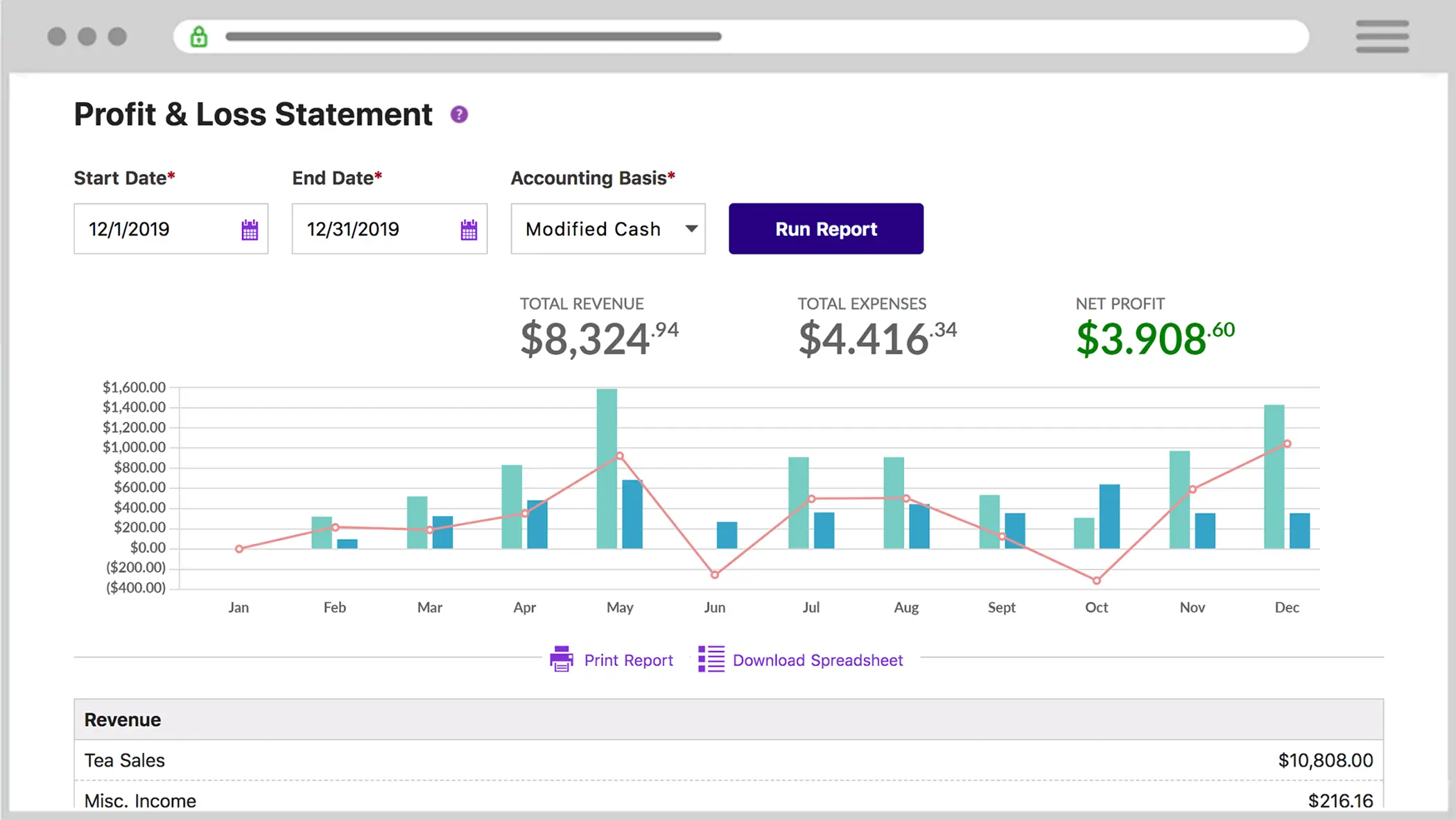 Patriot's Profit & Loss Statement report in the accounting software.