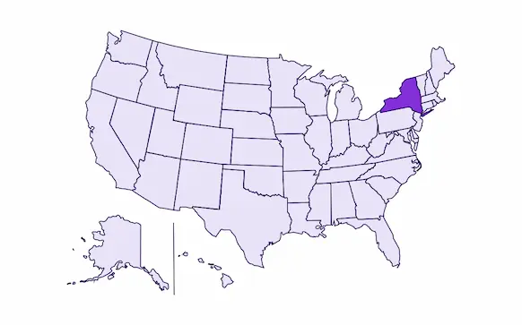 Image of USA with New York state highlighted