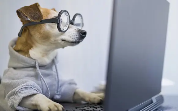 Dog using computer