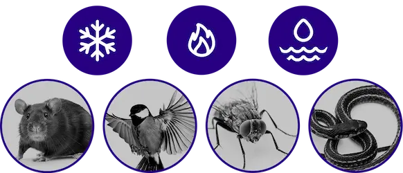 Mike Kappel starting a business in the early days.