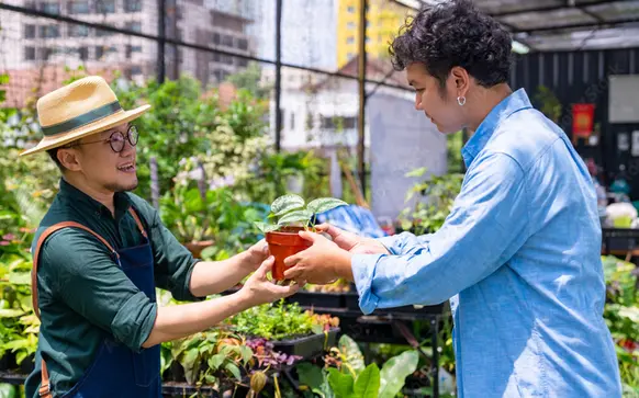 Washington D.C. business owner