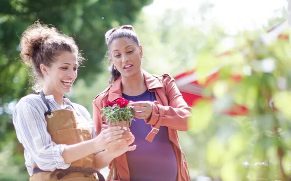 Rhode Island business owner