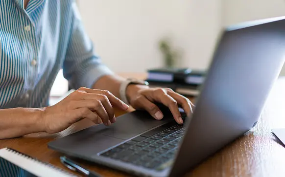 Accountant reviewing payroll software on laptop