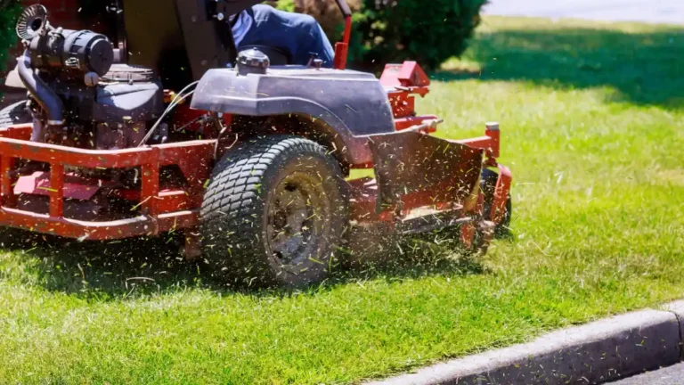 Lawn care business